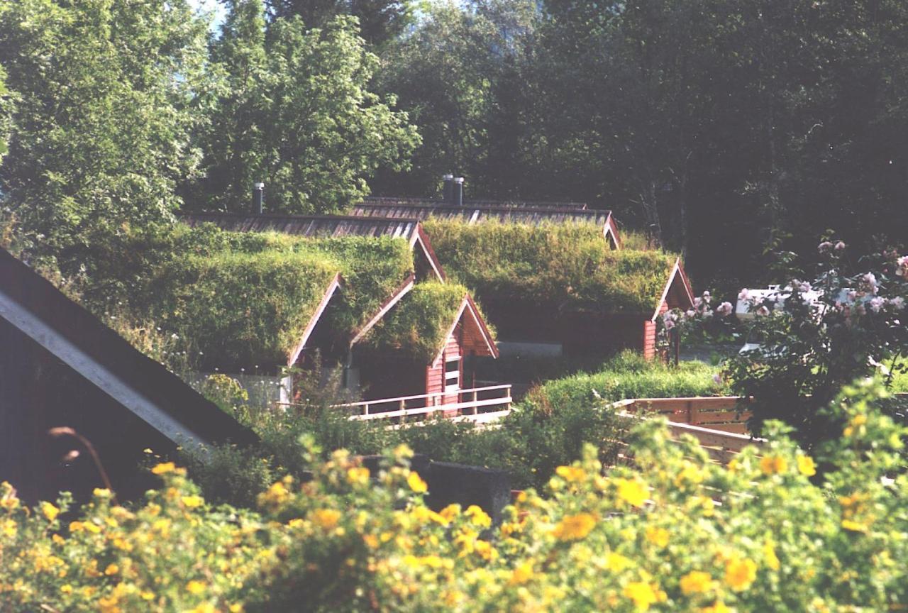 Hardanger Feriesenter Nesvika Villa Norheimsund Exteriör bild