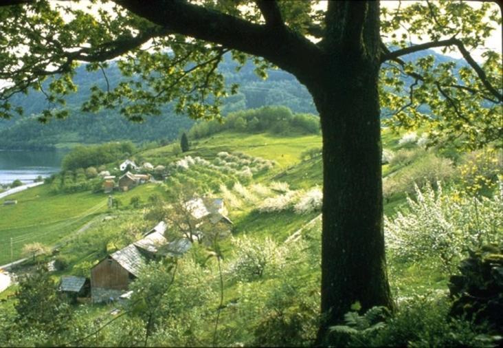 Hardanger Feriesenter Nesvika Villa Norheimsund Exteriör bild