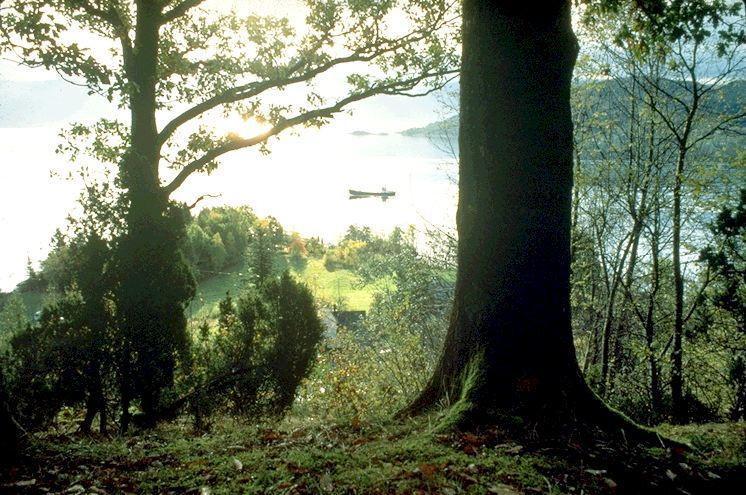 Hardanger Feriesenter Nesvika Villa Norheimsund Exteriör bild